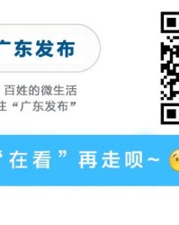 AG体育登录入口-比赛完宵夜直落！这届“粤BA”还是太全面了
